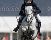 Chiaudani American Blue TosTour2013- S5 2659 : American Blue, Arezzo, Arezzo Equestrian Centre, Chiaudani Natale, Toscana Tour 2013, foto di Stefano Secchi ©